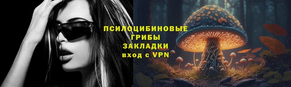 дурь Корсаков