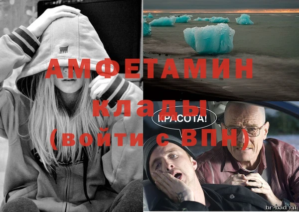Альфа ПВП Верея