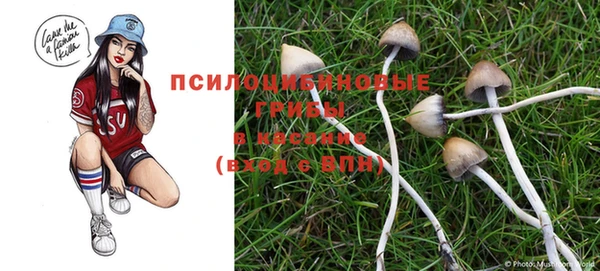 Альфа ПВП Богородицк