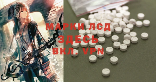Альфа ПВП Верея