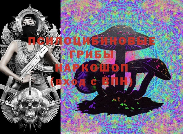 Альфа ПВП Богородицк