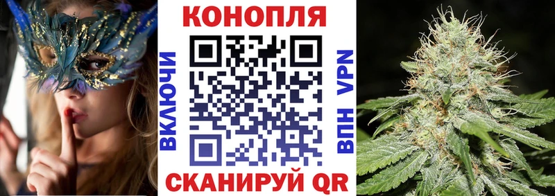 Бошки марихуана Ganja  мориарти официальный сайт  Всеволожск 
